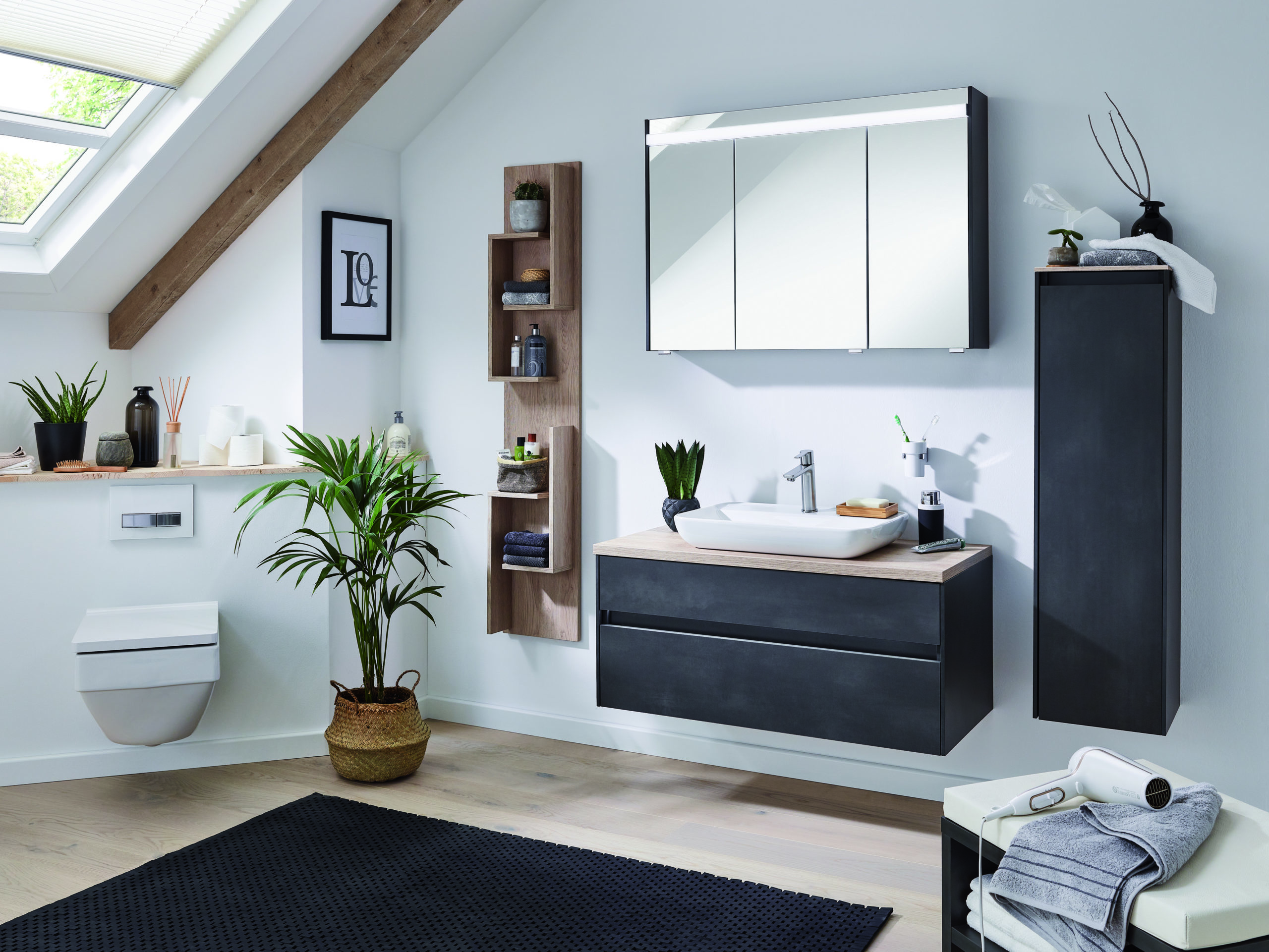 Bad- und Sanitaerobjekte