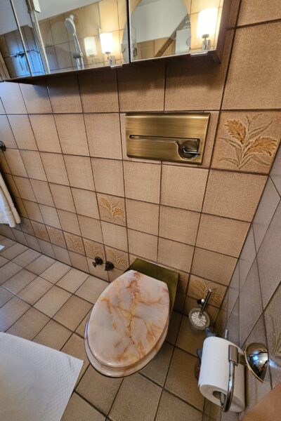 baeder-dunkelmann-alt-badezimmer-retro-braun-gekachelt-badewanne-fenster-2