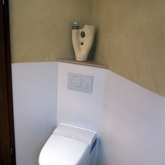 WC in neuer begehbaren Dusche mit Sitzbank.