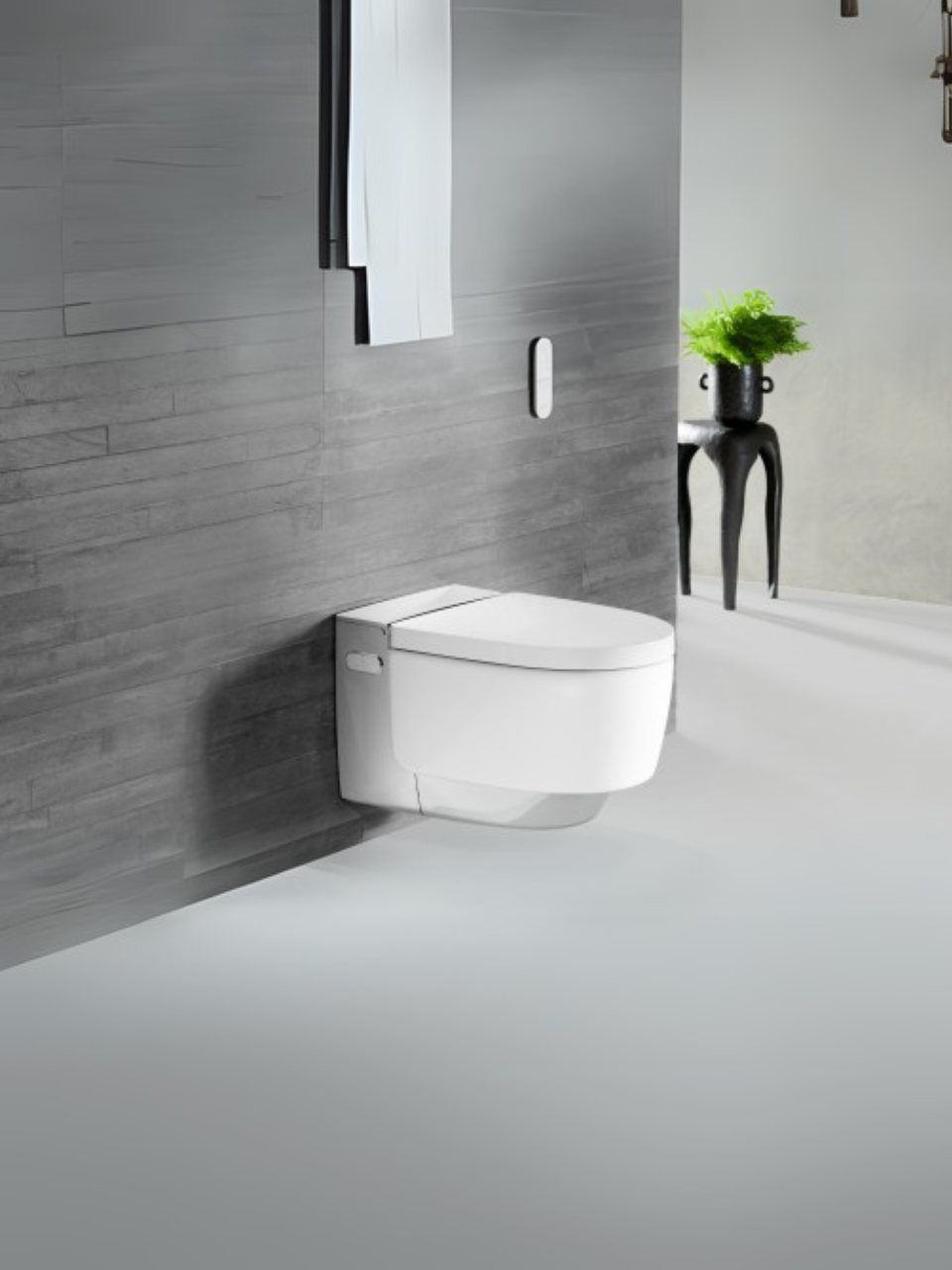 Dusch WC Kosten