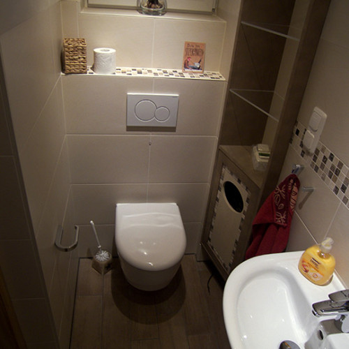 Gäste WC mit ebenerdiger Dusche in Kleiner Grasbrook