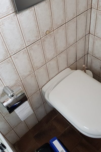 Minibad Toilette Alt