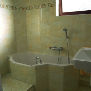 Vollbad mit Wanne und Dusche im Minibad